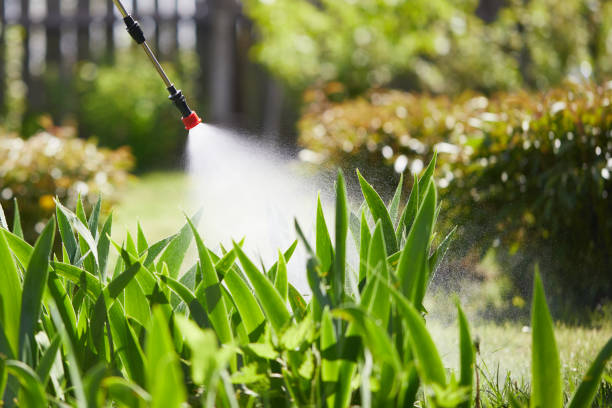 24/7 Emergency Wasp Removal experts in Forsyth, IL