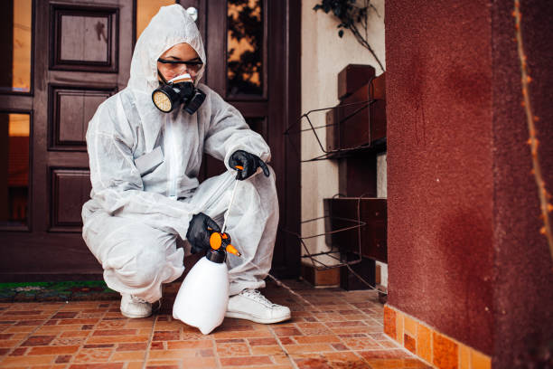 Reliable Wasp Removal contractor in Forsyth, IL by Show Me Pest Control