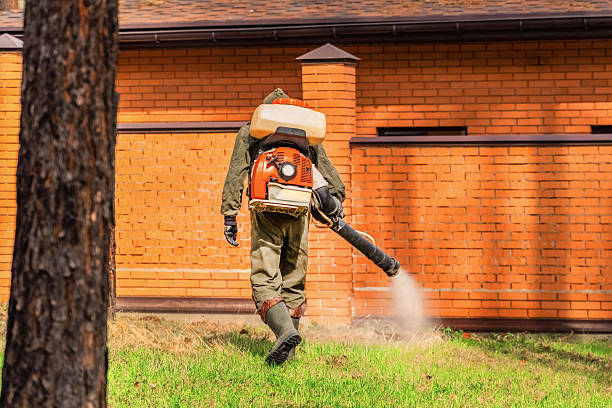 Top rated local Wasp Removal specialists in Forsyth, IL